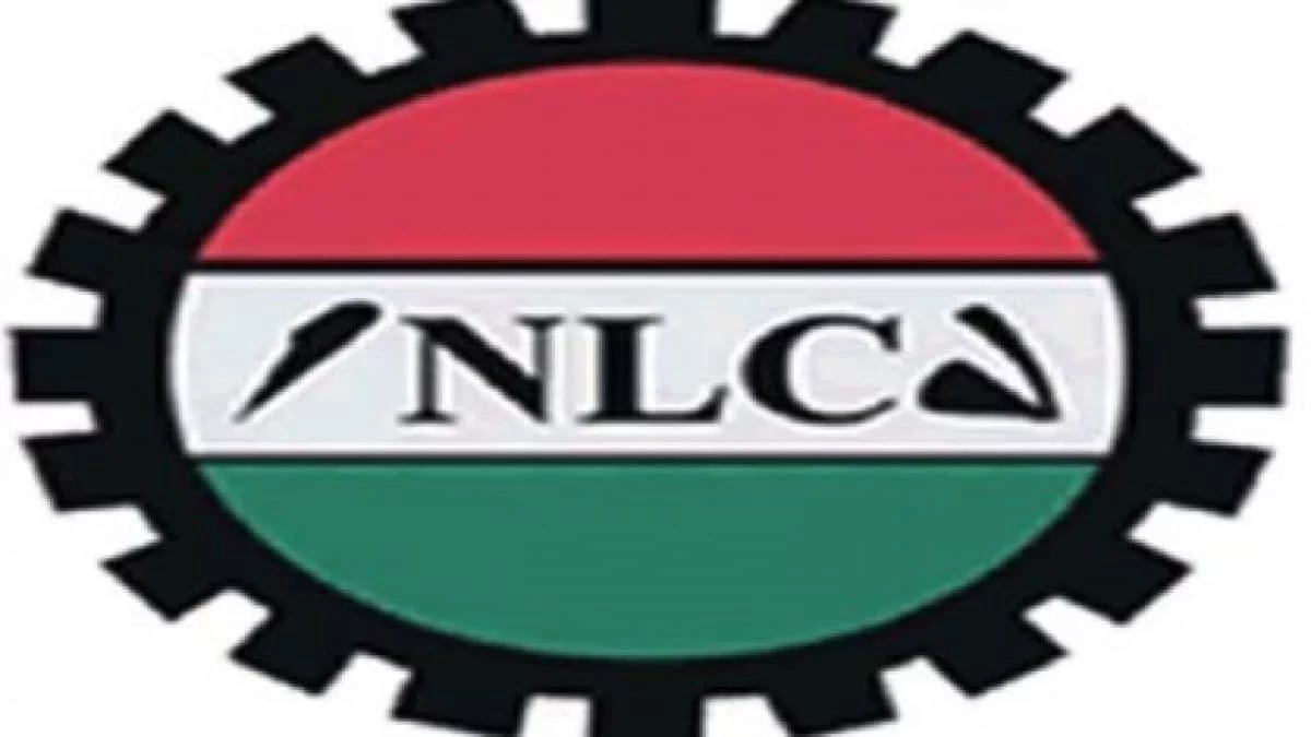 NLC Rejects FG’s Palliative, Says Proposed Cash Transfer Robs Poor To Pay Rich