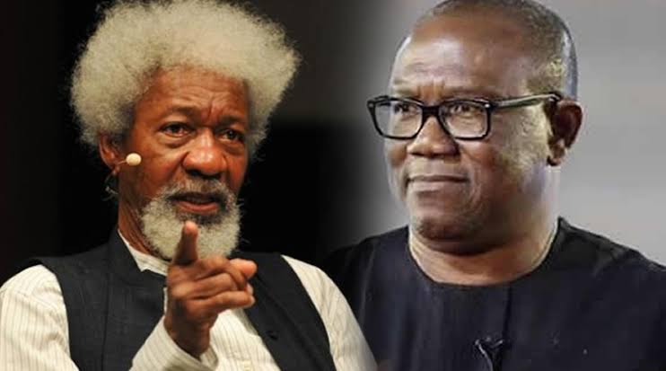 Peter Obi gives statement after meeting with Wole Soyinka amidst controversy