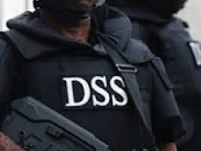 DSS detains officials from Nasarawa, other criminals for palliative sales, stealing