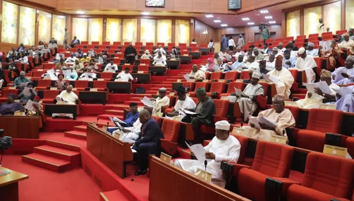 Senate looks into delay in issuing international passport