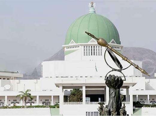 NASS, You Failed Nigerian Women – Rights Activists