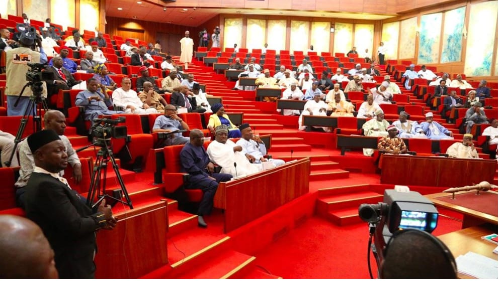 Allow Senators-elect to exercise their constitutional rights – Group