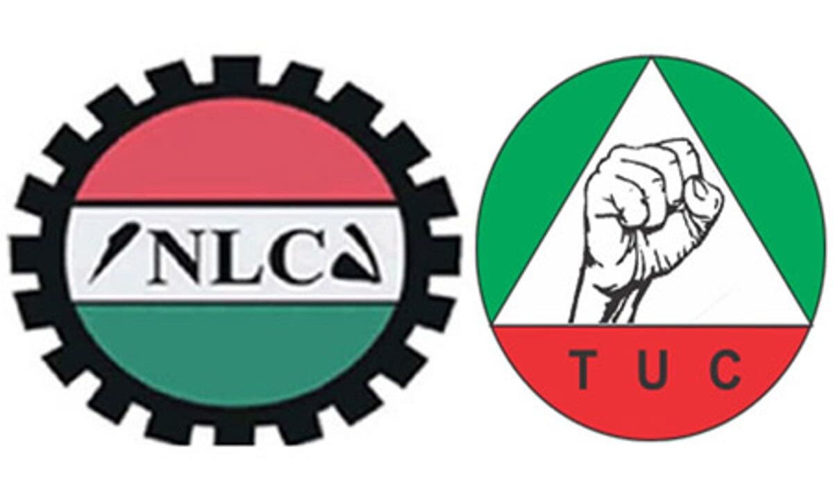 NLC, TUC now heavily partisan, unable to speak for workers – Onanuga