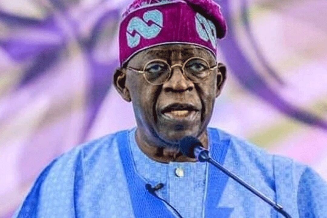 Nigerians in Diaspora should make Nigeria rich says Tinubu