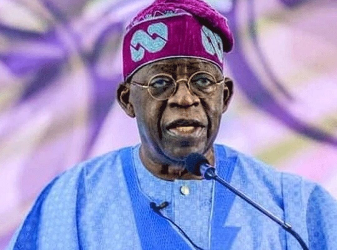 Nigerians in Diaspora should make Nigeria rich says Tinubu