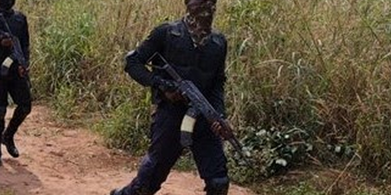 Gunmen behead DPO in Rivers