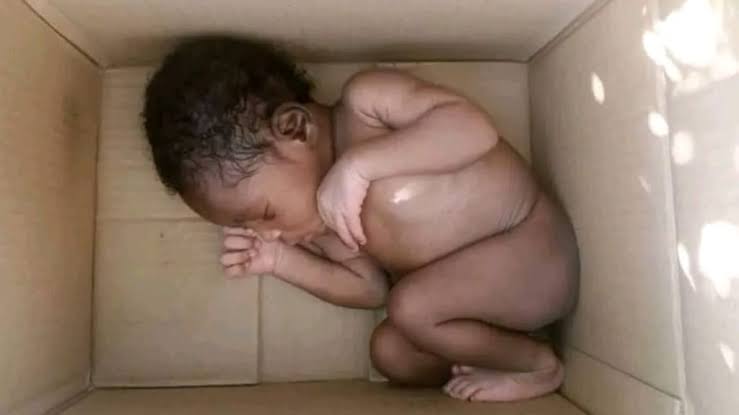 Hardship: Newborn baby abandoned on a farm in Jigawa