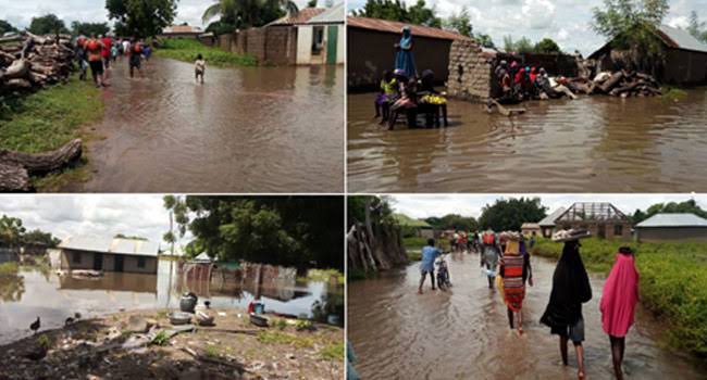 Residents beg for assistance as floods wreck havoc in Taraba community