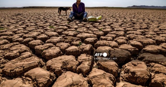 Heatwave kills over 20 in Morocco