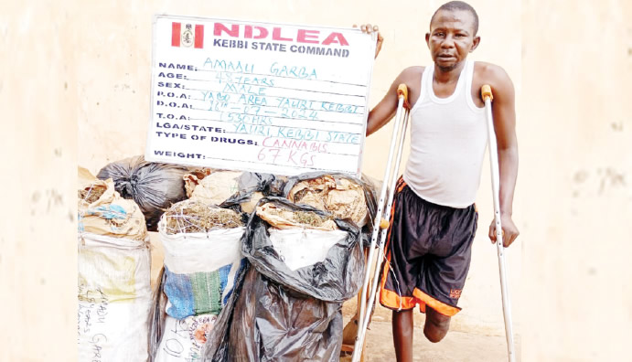 NDLEA arrests physically-challenged man found with cannabis