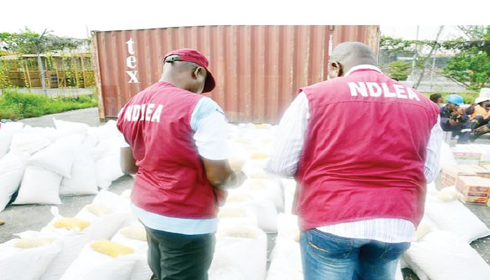 NDLEA secures conviction of 22 Kano drug dealers