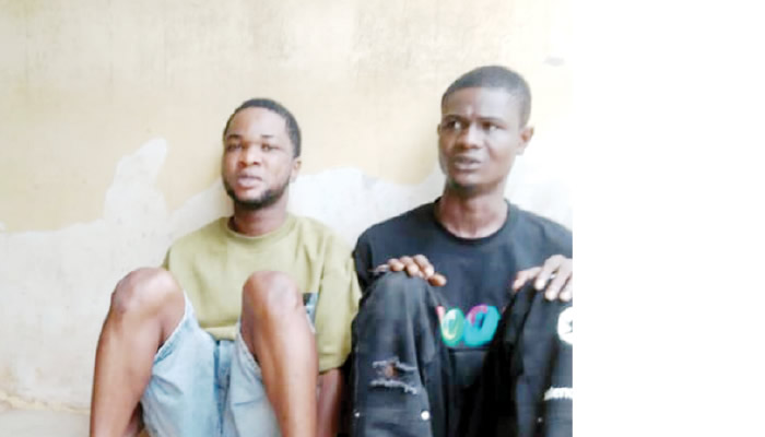 Police arrest suspected cultists for robbing Ogun hotel